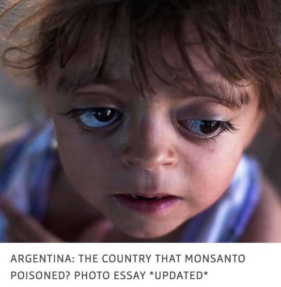 img monsanto